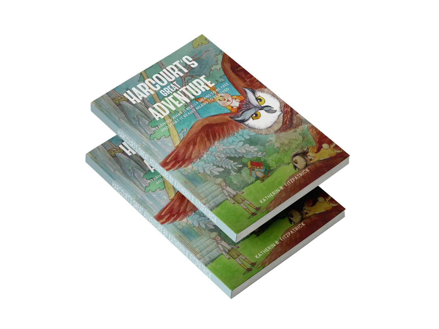 Harcourt's Great Adventure Book Cover